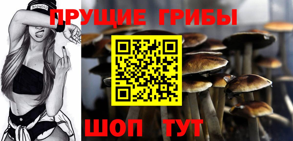 Псилоцибиновые грибы MAGIC MUSHROOMS  Псилоцибиновые грибы мицелий  Саратов  Вход с VPN 