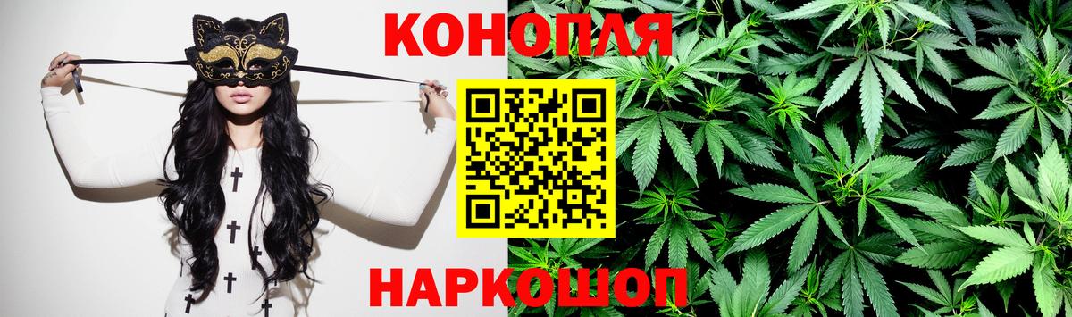 Канабис гибрид Саратов